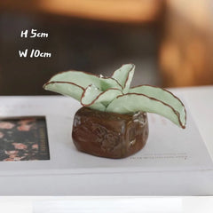 Ceramic Cactus Desk Decor - Whimsical Office & Computer Desktop Decorations, Creative Mini Succulent Home Accent