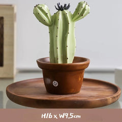 Ceramic Cactus Money Bank - Whimsical Succulent Decor for Desk, Office & Living Room, Creative Piggy Coin Holder