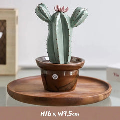 Ceramic Cactus Money Bank - Whimsical Succulent Decor for Desk, Office & Living Room, Creative Piggy Coin Holder