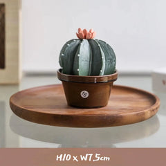 Ceramic Cactus Money Bank - Whimsical Succulent Decor for Desk, Office & Living Room, Creative Piggy Coin Holder