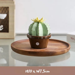 Ceramic Cactus Money Bank - Whimsical Succulent Decor for Desk, Office & Living Room, Creative Piggy Coin Holder