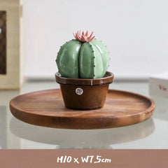 Ceramic Cactus Money Bank - Whimsical Succulent Decor for Desk, Office & Living Room, Creative Piggy Coin Holder