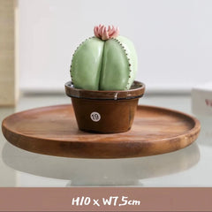 Ceramic Cactus Money Bank - Whimsical Succulent Decor for Desk, Office & Living Room, Creative Piggy Coin Holder