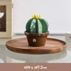Ceramic Cactus Money Bank - Whimsical Succulent Decor for Desk, Office & Living Room, Creative Piggy Coin Holder